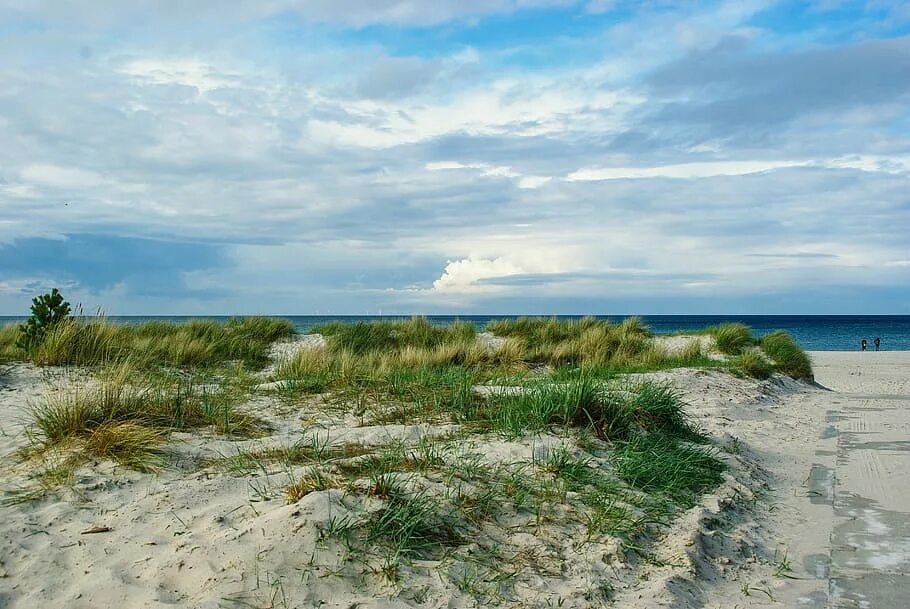 Балтийское море. Балтийское море фото. Дюны берегу Балтийского моря. Комарово Балтийское море.