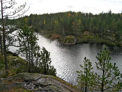 Кузнечное ленинградская