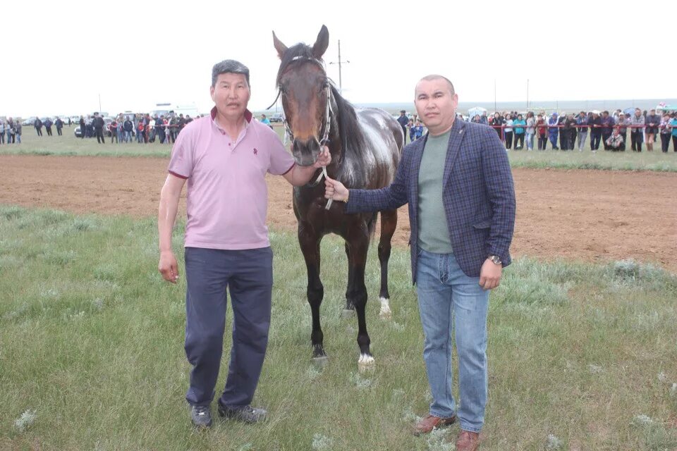 пос кетченеры. посёлок обильное калмыкия кетченеровский район. прогноз погоды в кетченерах на 2 недели. поселок кетченеры, республика калмыкия. кетченеровская районная больница.