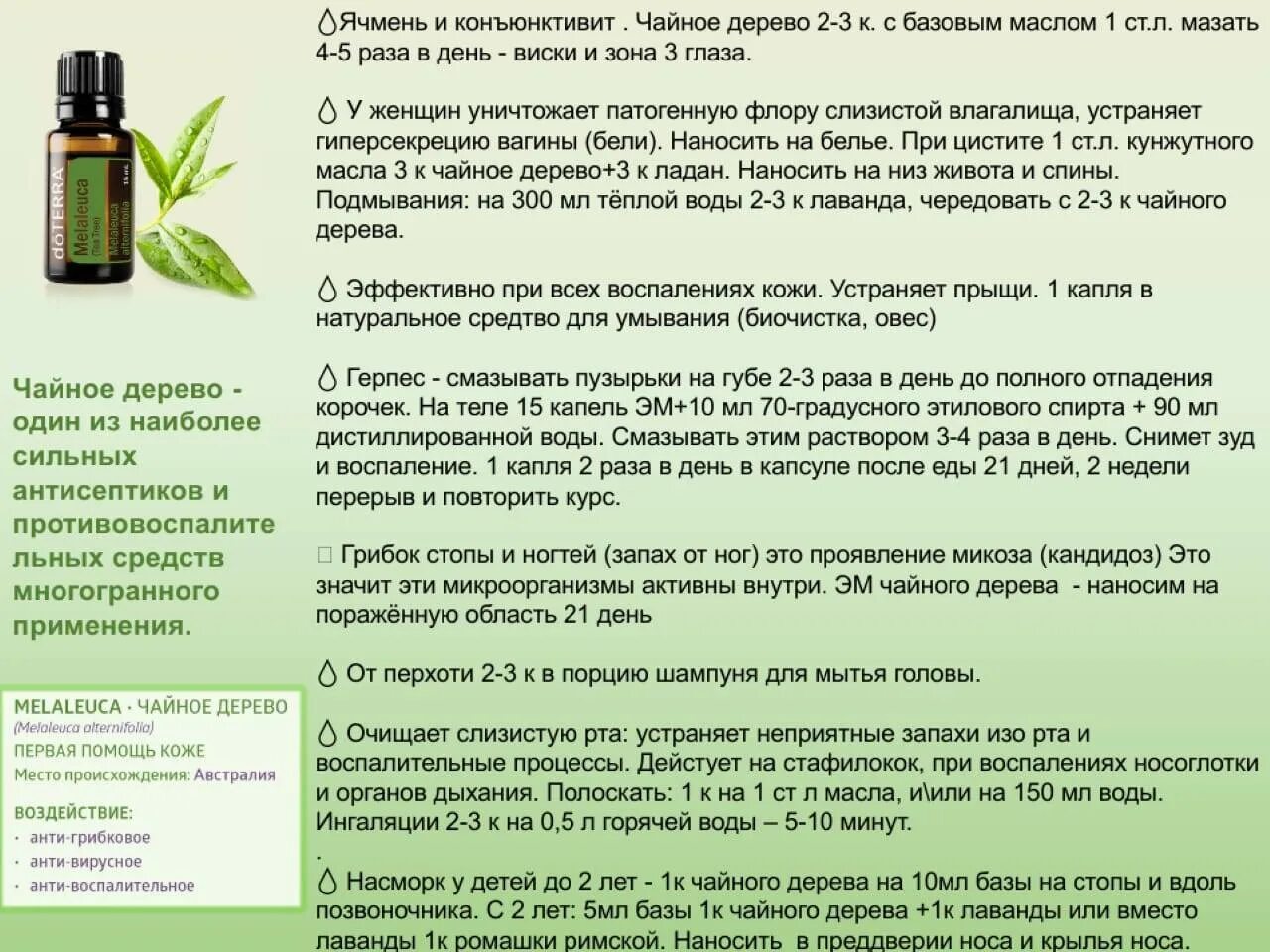 Масло чайного дерева DOTERRA. Эфирное масло чайного дерева Гринвей. DOTERRA эфирные масла чайное дерево. Масло чайного дерева Детера. Можно в носу мазать маслом