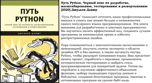 Задачи python книга. Python черный пояс по разработке. Путь Python. Что дороже питон или крокодил.