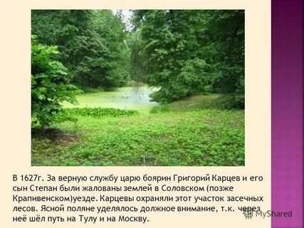 Поляне презентация
