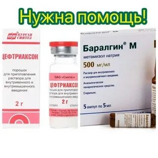 Цефтриаксон можно колоть собакам