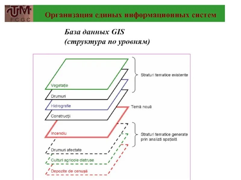 Форматы данных в ГИС. Структура ГИС. Организация данных в ГИС. База данных ГИС. Организация информации в гис