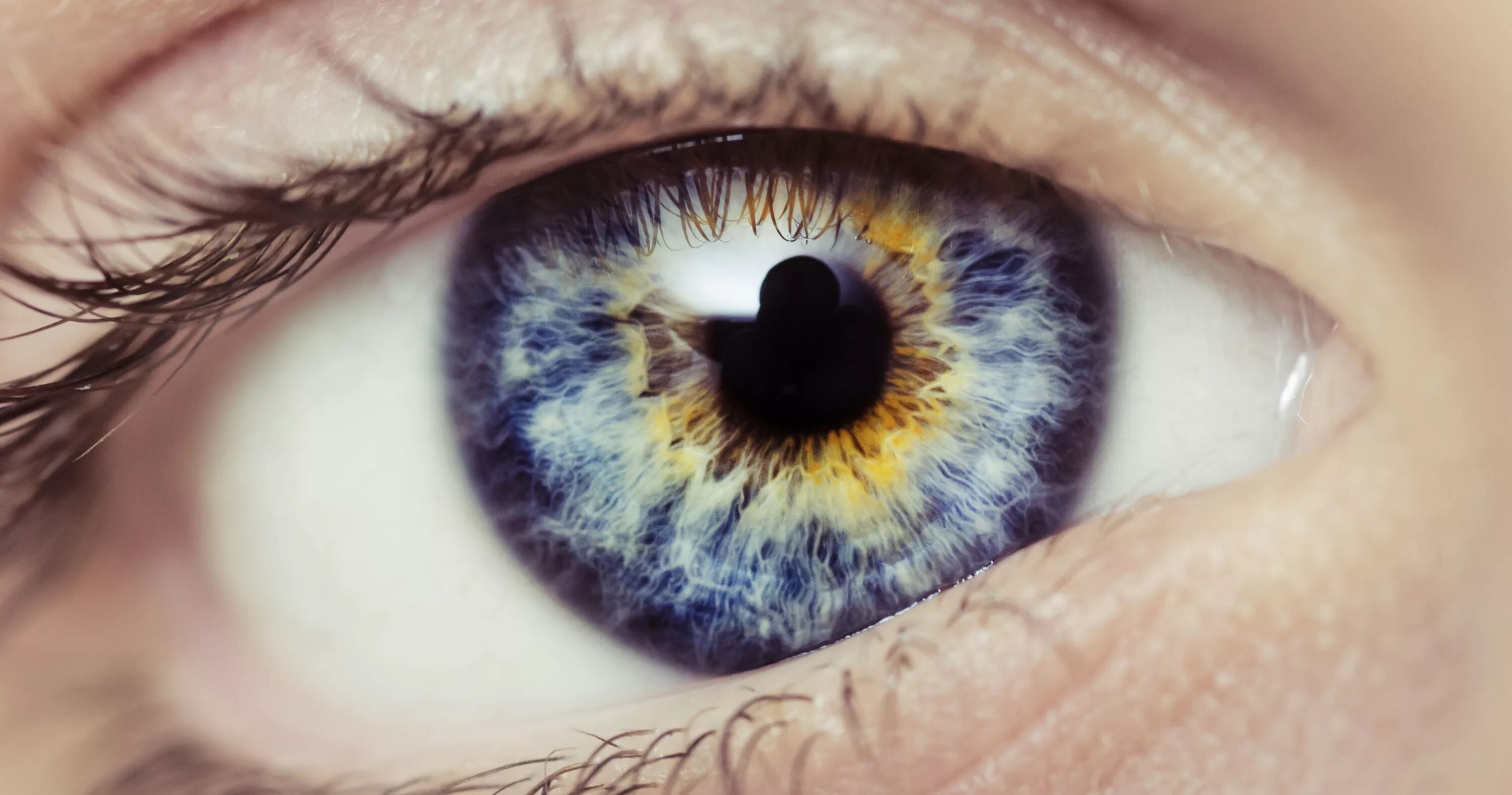 Почему желтым цветом глаз. Гетерохромный иридоциклит Фукса гетерохромия. Центральная гетерохромия карих глаз. Глаз человека. Синие глаза.