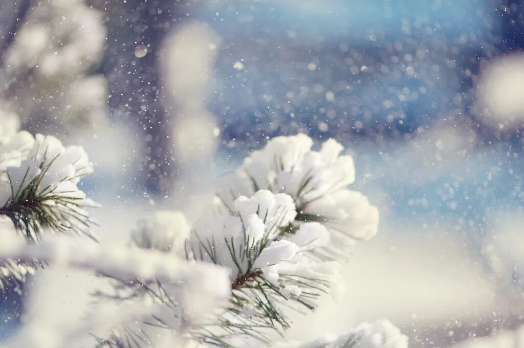 Isn t snowing