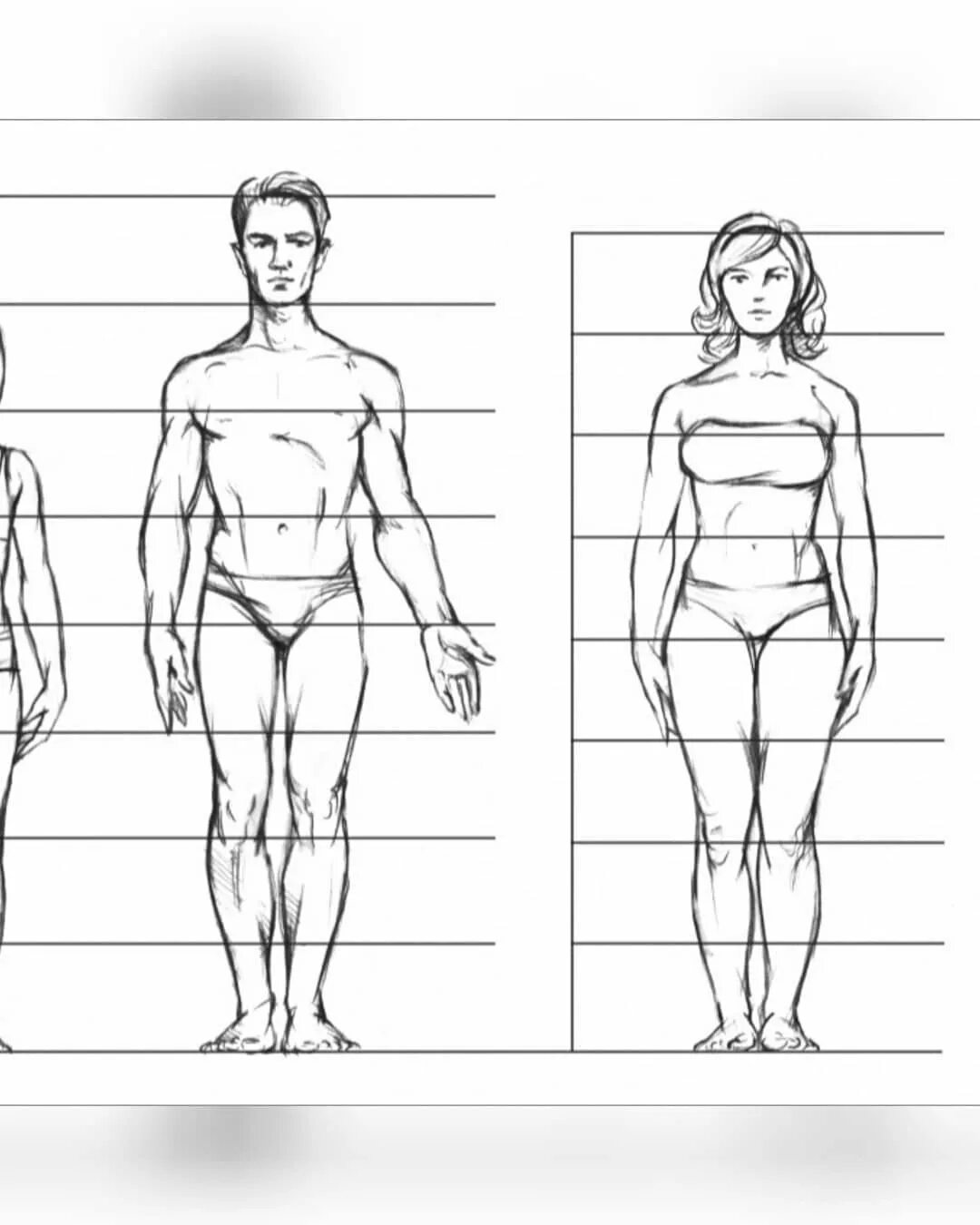 Фигура человека изо. Фигура человека для рисования. Пропорции человеческого тела для рисования. Пропорции человека в полный рост. Рисунок человека в полный рост пропорции.