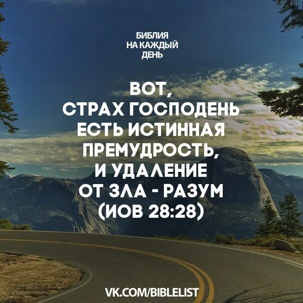 Начало мудрости страх господень картинка. Премудрость страх господень. Пословицы про ум и глупость. Премудрость страх господень. Начало мудрости.