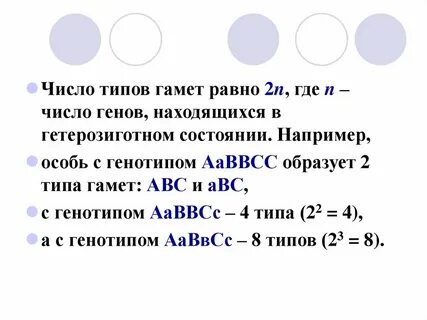 1 тип гамет