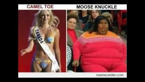 Moose knuckle funny