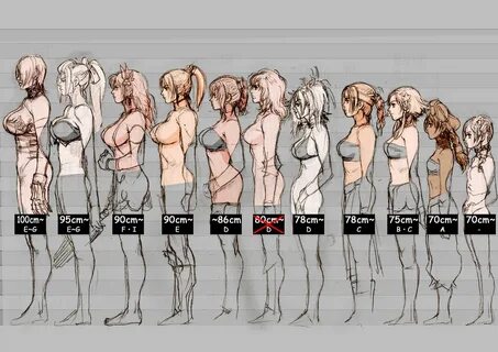 breastsize.jpg 