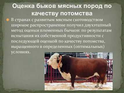 Метод испытания родителей по потомству