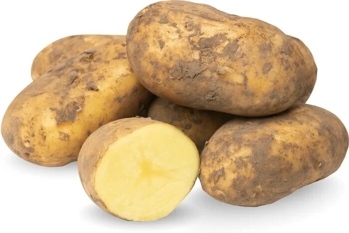 New potato on the bowl, gray background. photo by GitaKulinica on Envato Element