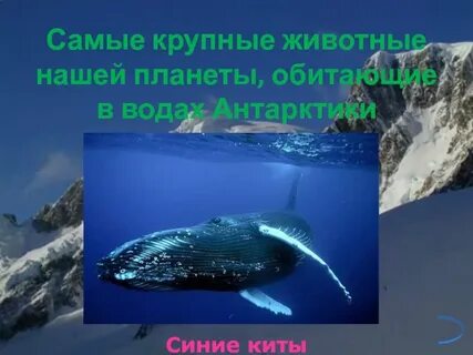Вода для обитателей нашей планеты