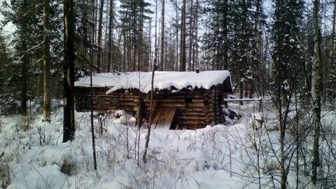Таежное зимовье рассказ