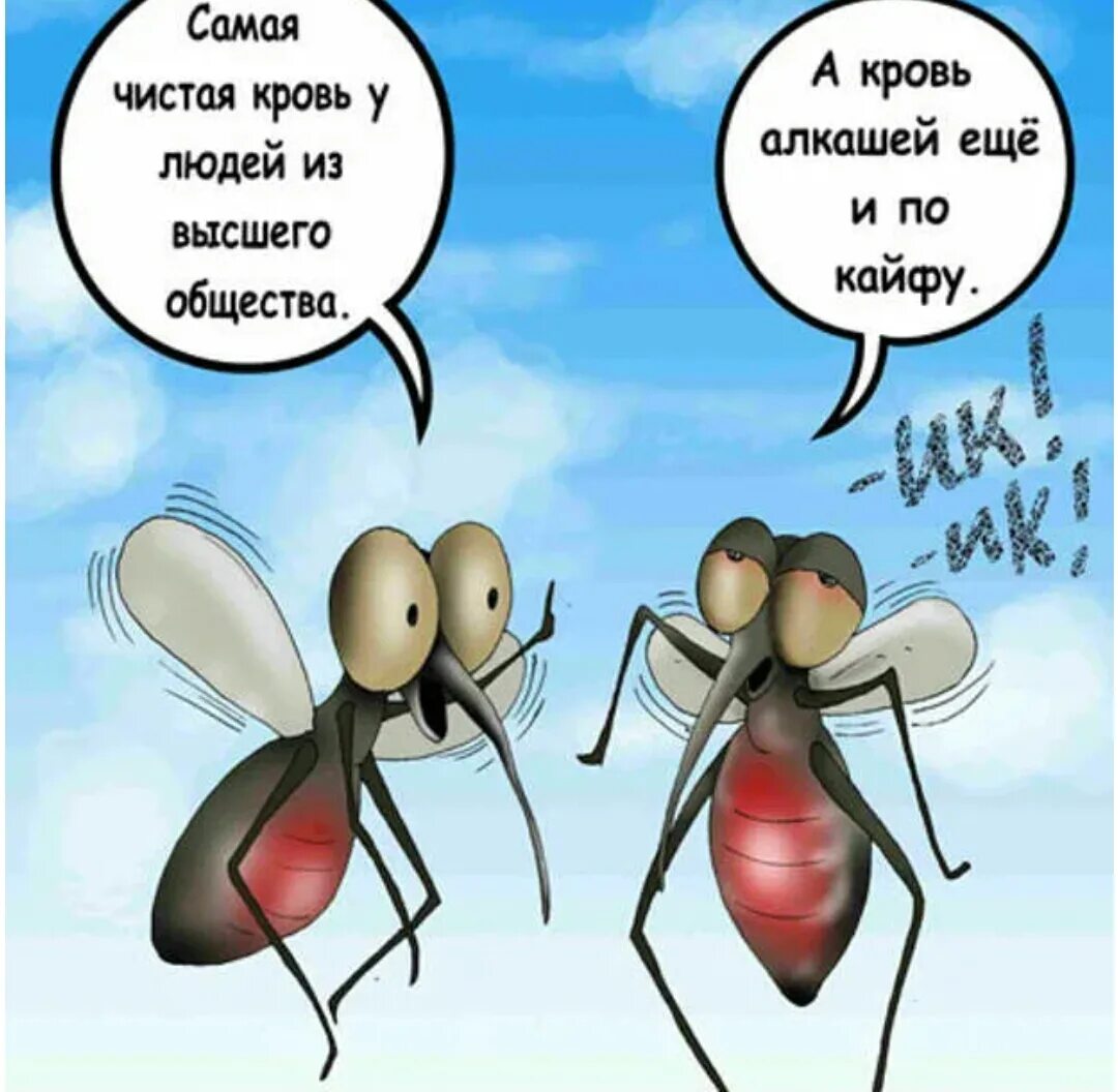 Почему мухи жужжат. Комар прикол. Приколы про комаров. Шутки про комара. Комар карикатура.