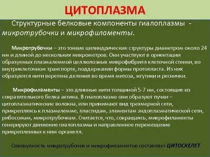 Белковый компонент