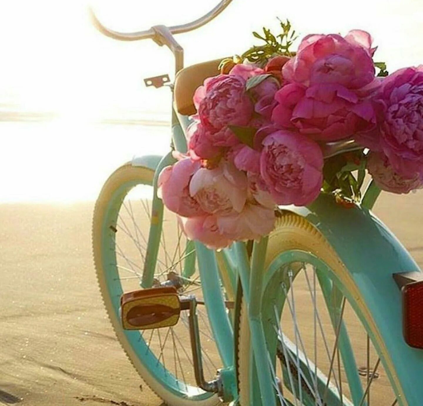 Велосипед в цветах зеленый. Велосипед с цветами. Красивый велосипед с цветами. Велосипед с пионами. Нежные цветы с велосипедом.