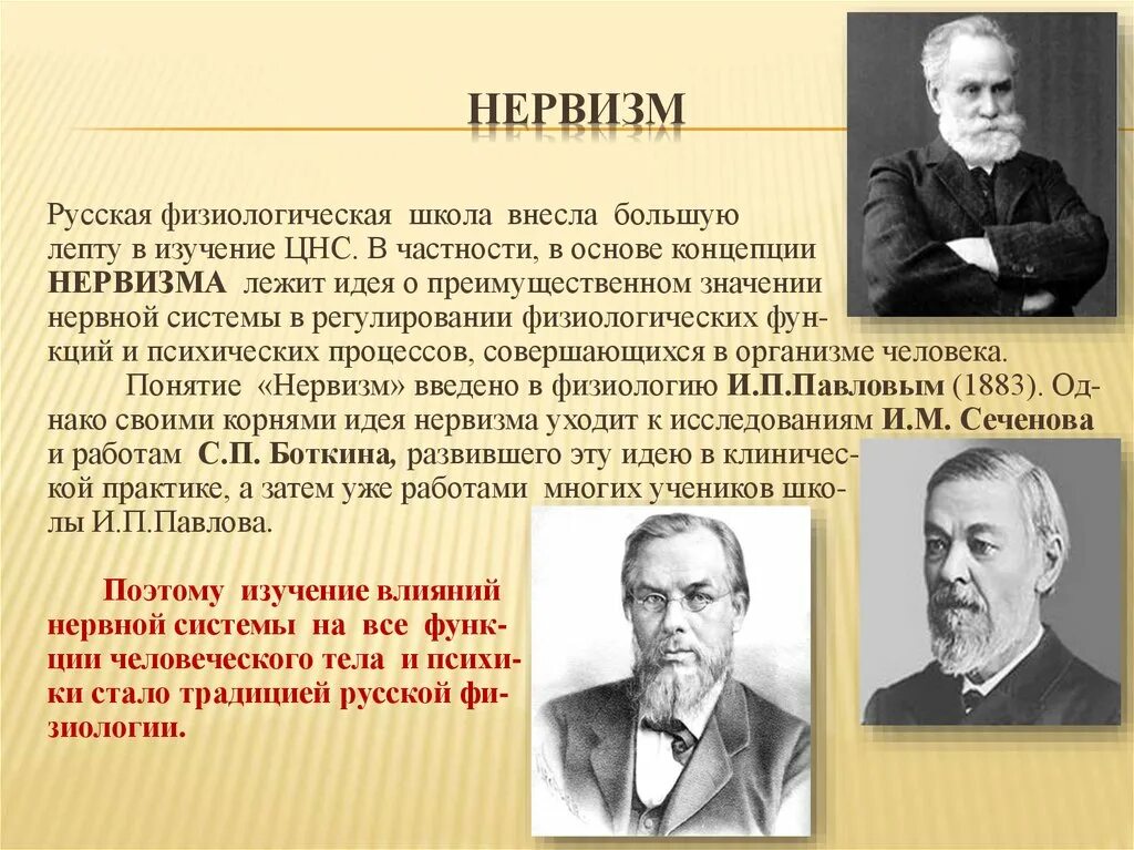 Нервизм (Декарт, и.м. Сеченов, с.п. Боткин, и.п. Павлов).. Теория нервизма. Принцип нервизма Павлова. Принцип нервизма в физиологии. Павлов направление