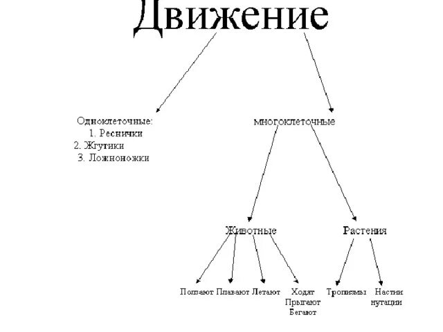 Передвижение многоклеточных. Движение животных биология 6 класс таблица. Движение биология 6 класс таблица. Таблица движение организмов биология. Движение растений 6 класс биология таблица.