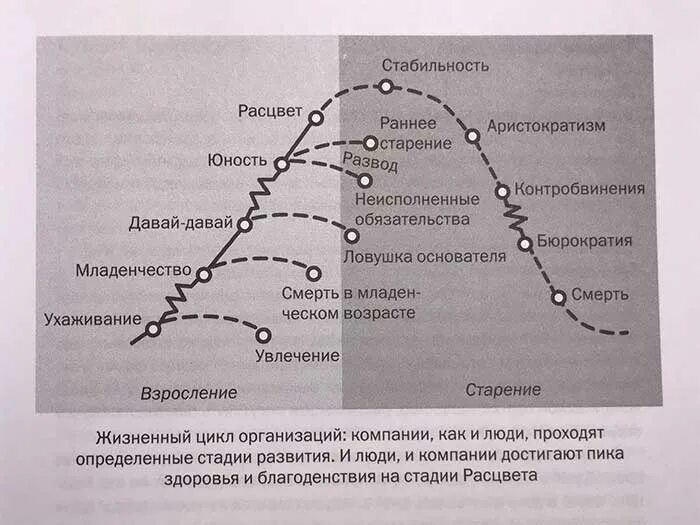 Расшифровка теста адизеса. Типология Адизеса paei. Ицхак Адизес paei. Этапы развития организации по Адизесу. Типология руководителей по Адизесу.