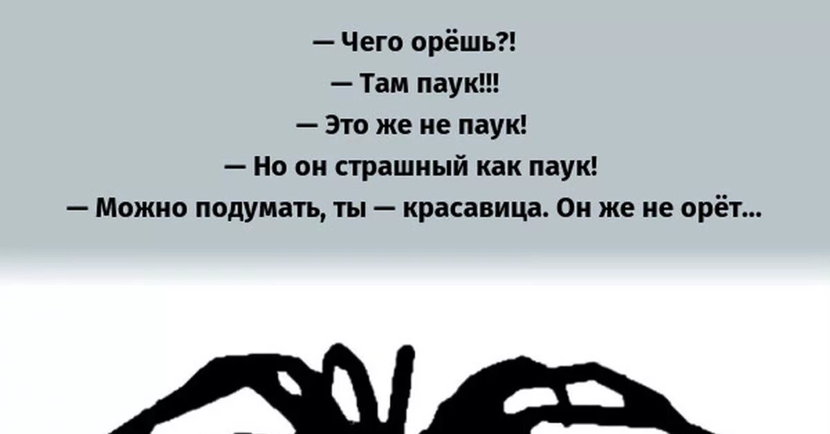 Там закричать. Анекдот про паука. Шутки про пауков. Высказывания про пауков. Прикол «паук».