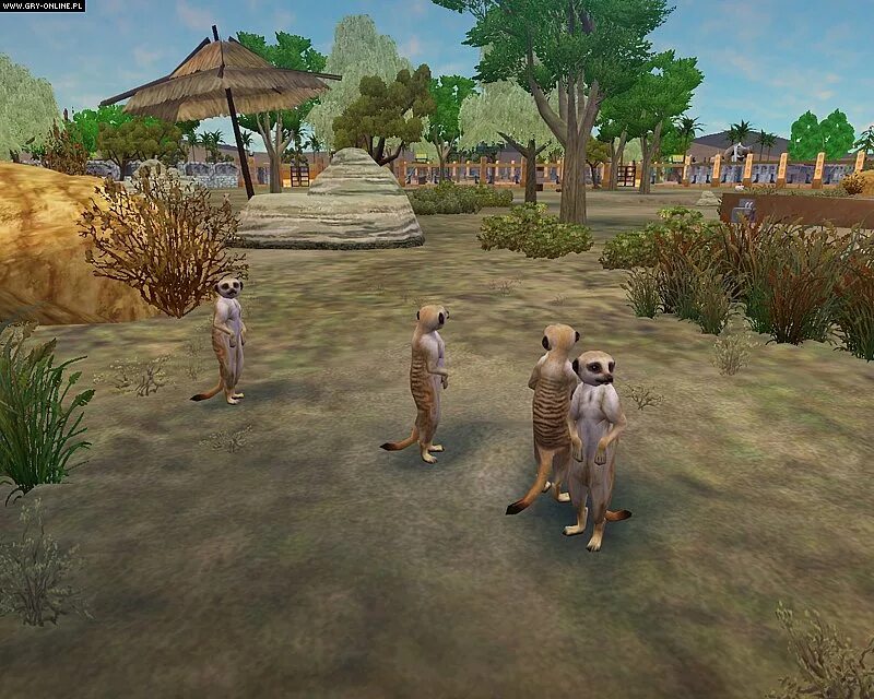 Zoo Tycoon 2 African Adventure. Zoo Tycoon 2 Скриншоты. Zoo Tycoon (игра, 2001). Zoo Tycoon 2022. Аномальный зоопарк игра