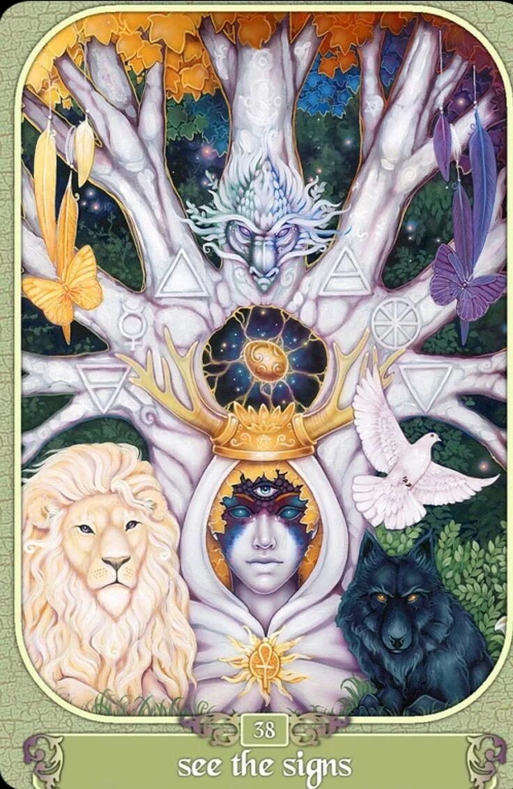 Таро мечты Гайи галерея. Таро сны Гайи галерея. Dreams of Gaia Tarot галерея. Оракул Messenger Ravynne Phelan галерея