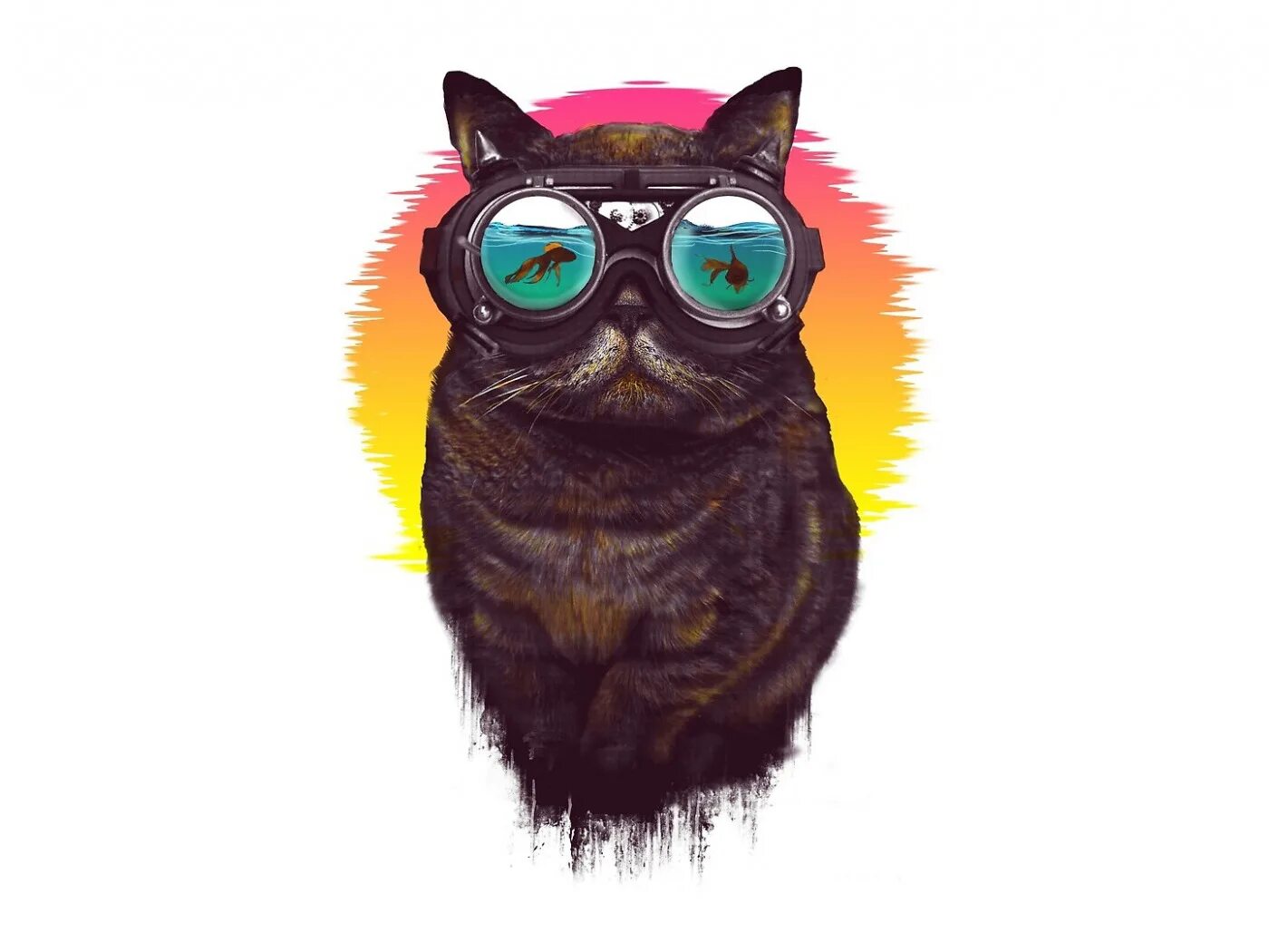 Cat styled