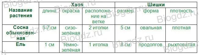 Царство Растения. 6 класс