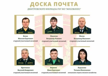 Дмитровское лесничество московской