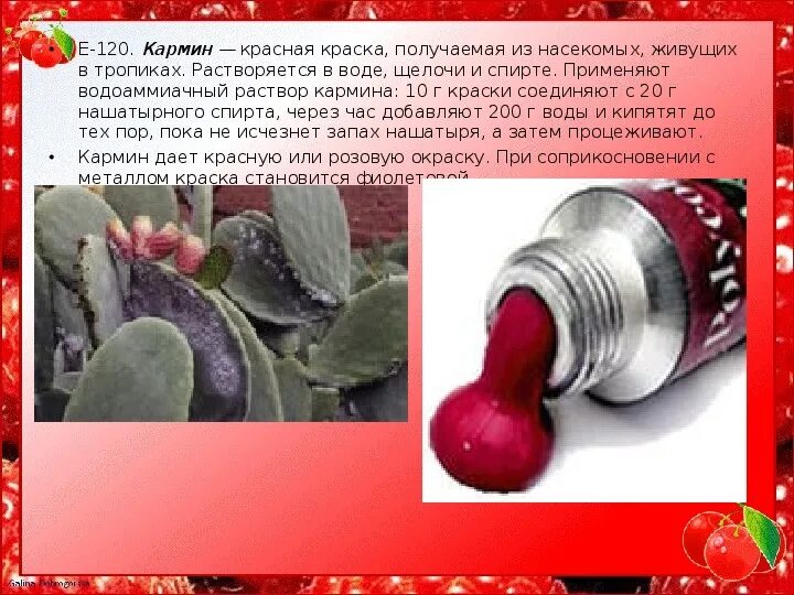 Е120 пищевая добавка из чего состоит. Что такое краситель кармин е120. краситель е120 кошениль. кошениль (карминовая кислота, кармин, е120). продукты с красителем кармин.