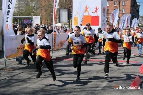 Золотая кочерыжка нижний тагил 2024