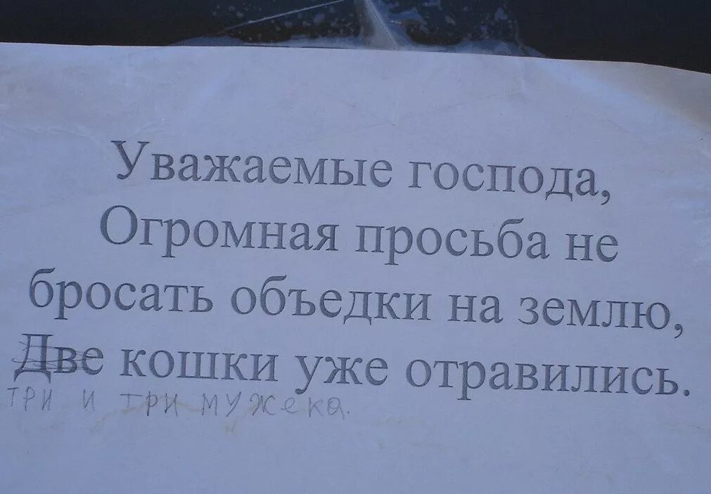 Кидай запрос. Пальцами и яйцами в солонку. Пальцами и яйцами в солонку не лазить. Пальцами и яйцами в солонку не макать. Пальцы и яйца в соль не макать.