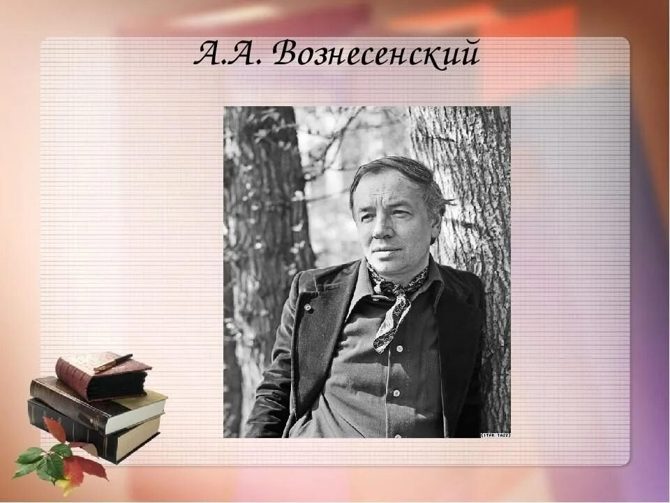 Писатели 12 лет. Вознесенский писатель. Вознесенский поэт.