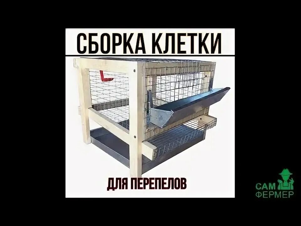 Перепелиная клетка своими руками чертежи и размеры Как сделать клетки для перепелов своими руками: размеры и чертежи, фото, пошагов