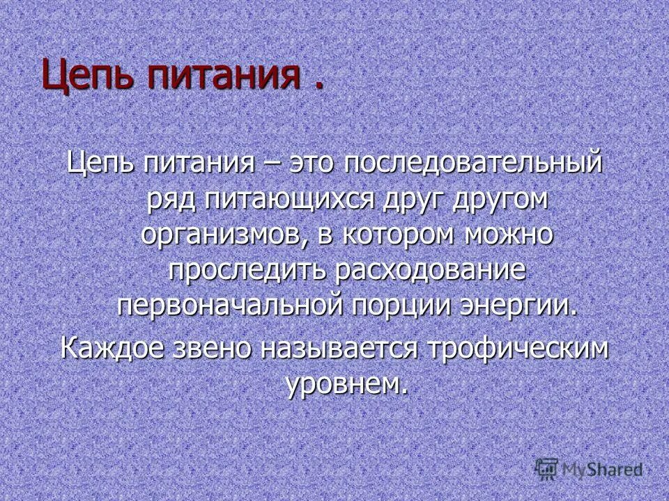 Пищевая цепочка это. Цепи питания. Цепь питания определение. Пищевая цепочка определение. Что такое цепь питания кратко.