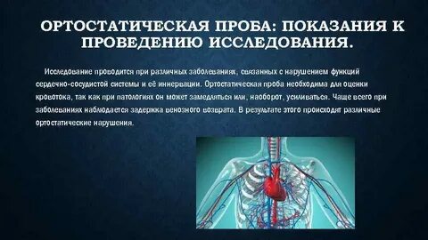 Ортостатическая проба оценивает состояние
