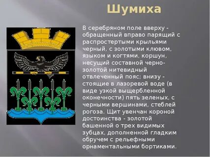 Шумиха на 10 дней точный