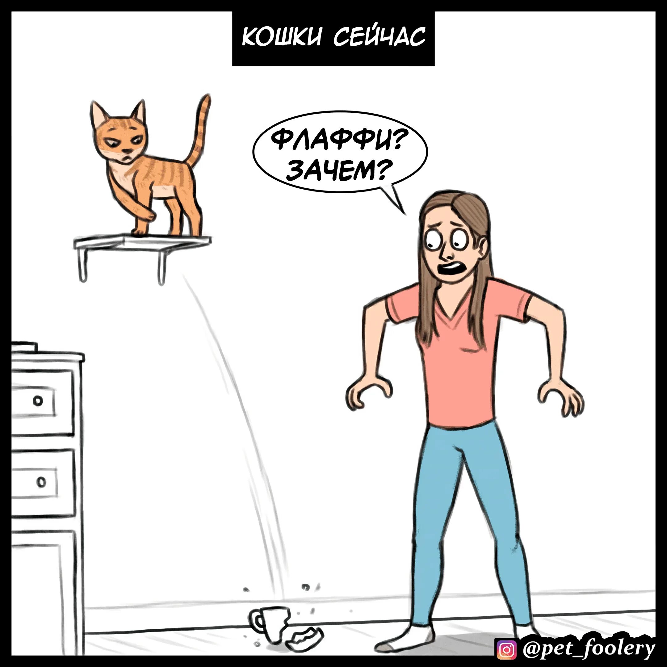 Коты раньше коты сейчас. Комиксы про собак и кошек. интеллект кошки и человека. коты раньше и сейчас мем. умственные способности кошек.