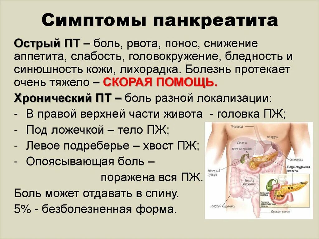 Может ли поджелудочная отдавать в спину
