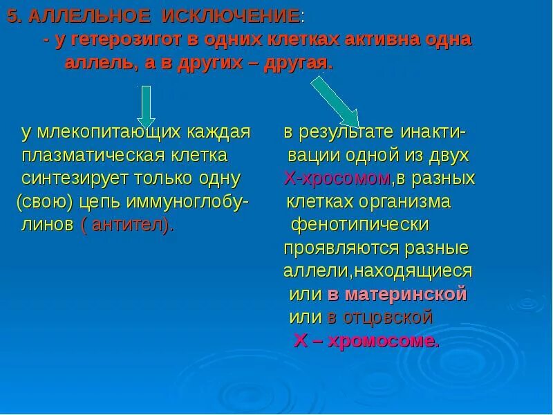 Аллельное исключение. Аллельное исключение пример. Аллельное исключение примеры у человека. Аллельное исключение это в генетике. Аллельное состояние генов