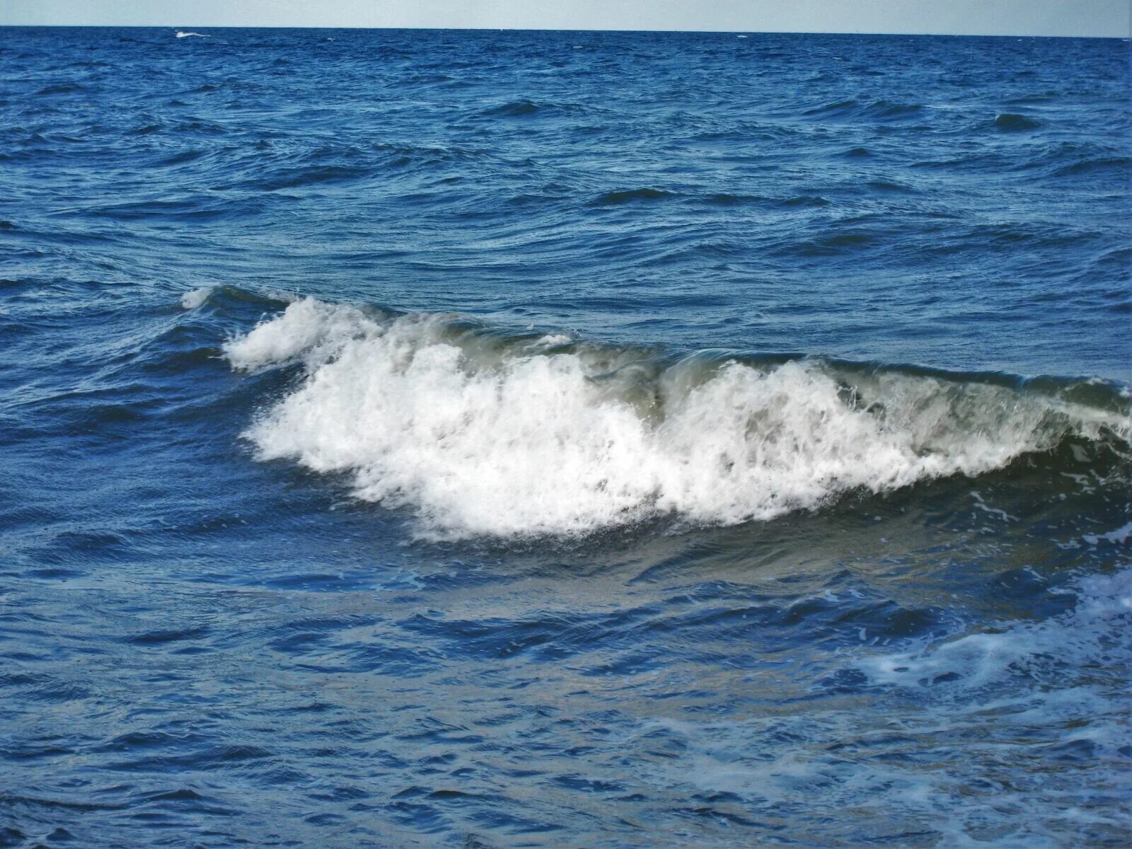 Что такое зыбь. Морская зыбь. Балтийское море волны. Волны на Балтийском море. Балтийское море вода.