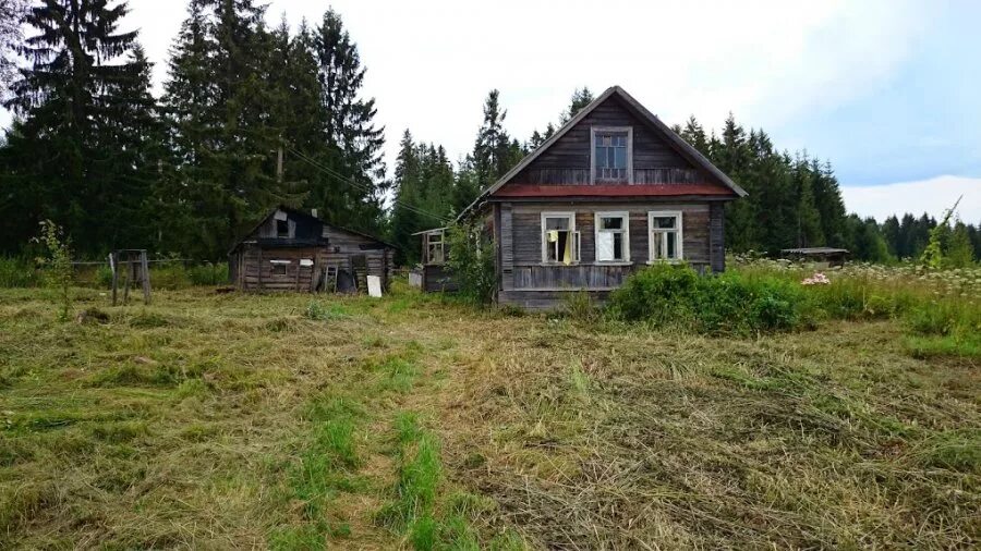 Торбино жд станция. Торбино новгородская область. Озеро торбино новгородская область. Окуловка торбино. Окуловка торбино.