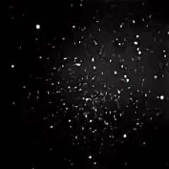 Performance particles. Performance particles