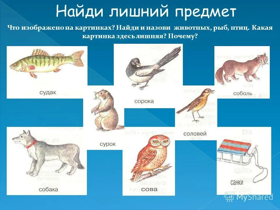 Рассмотри рисунок, назови изображенных на них животных. Рассмотри рисунки. Игра назови животное. Назови животных изображенных. Передвигаться как животное.