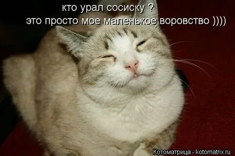 Оп цаца
