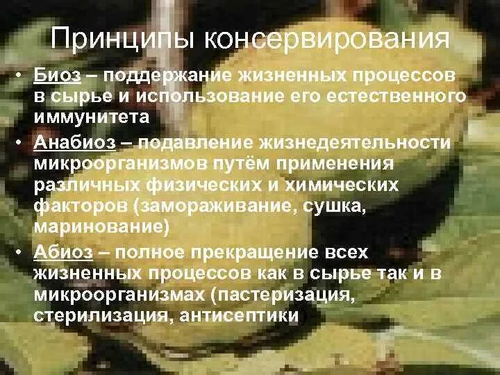Методы консервации пищевых продуктов. Методы консервации продуктов. Принципы и методы консервирования. Принципы и методы консервирования. Способы консервации пищевых продуктов.