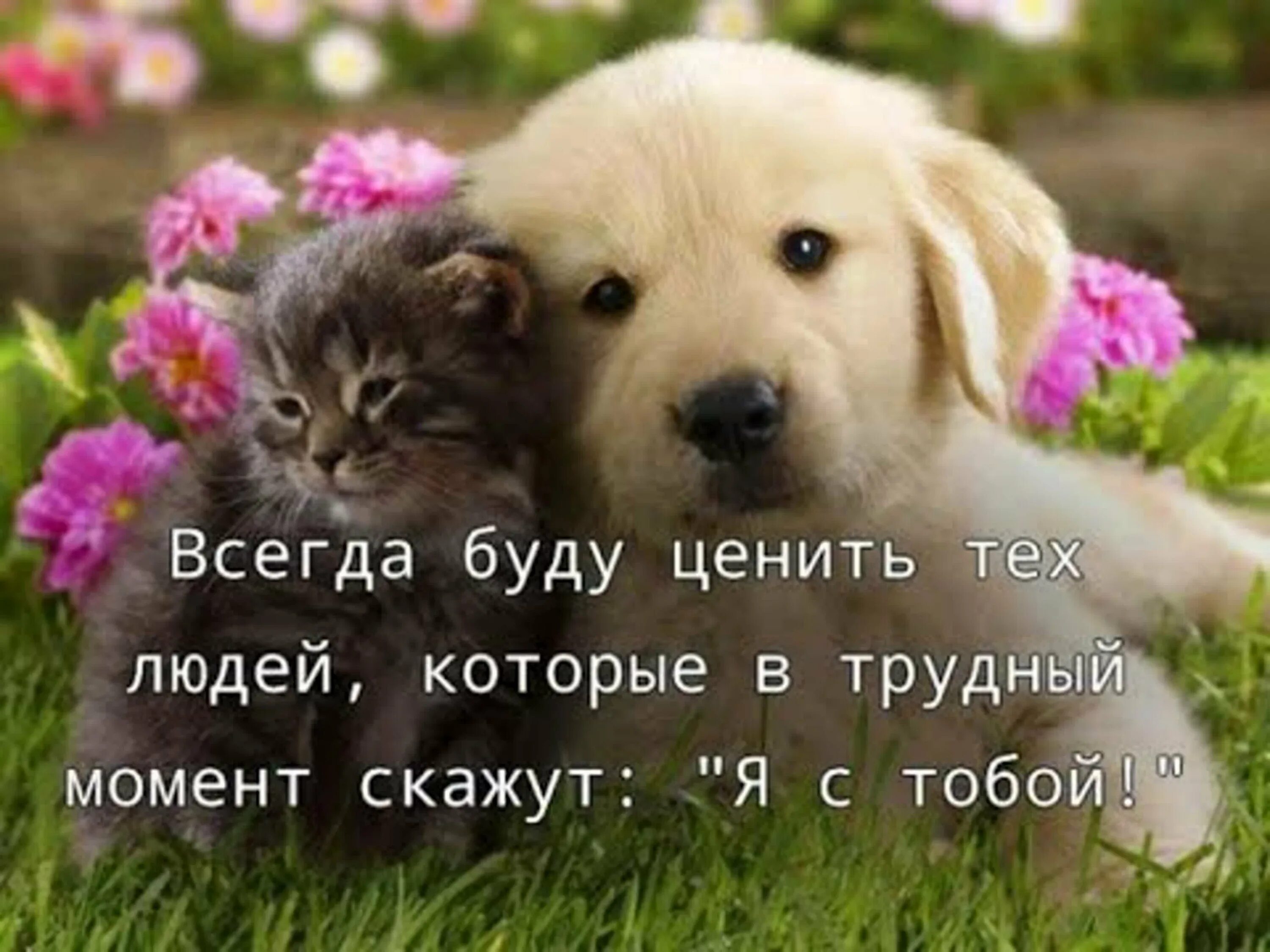 Есть и такие которые