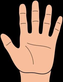 4 fingers